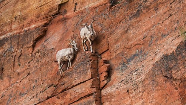 Feeling anxious? These tips might help