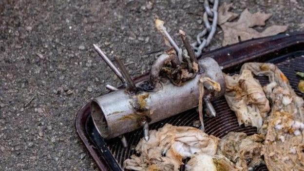 06:07 BSTSewage blockages tackled with 'baby hedgehog' tool, published at 06:07 BSTSewage blockages tackled with 'baby hedgehog' tool